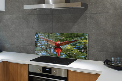 Painel de vidro papagaio arara