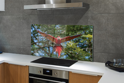 Painel de vidro papagaio arara