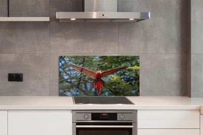 Painel de vidro papagaio arara