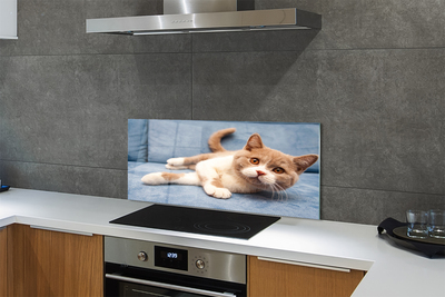 Painel de vidro Gato deitado