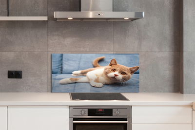 Painel de vidro Gato deitado