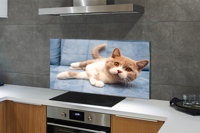 Painel de vidro Gato deitado