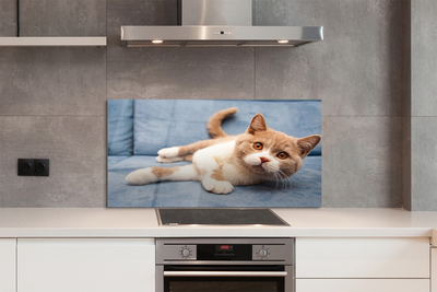 Painel de vidro Gato deitado