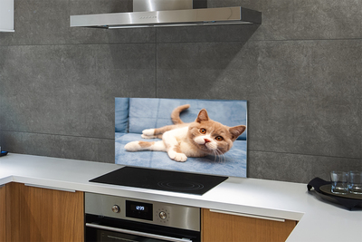 Painel de vidro Gato deitado