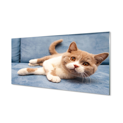 Painel de vidro Gato deitado