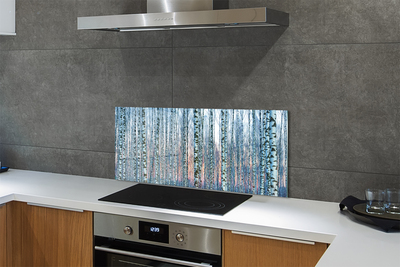 Painel de vidro Pôr do sol na floresta de bétulas