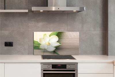 Painel de vidro Magnólia branca