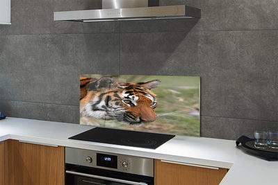 Painel de vidro Floresta do Tigre