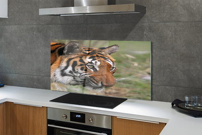 Painel de vidro Floresta do Tigre