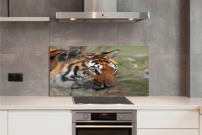 Painel de vidro Floresta do Tigre