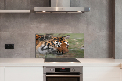 Painel de vidro Floresta do Tigre