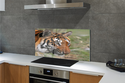 Painel de vidro Floresta do Tigre