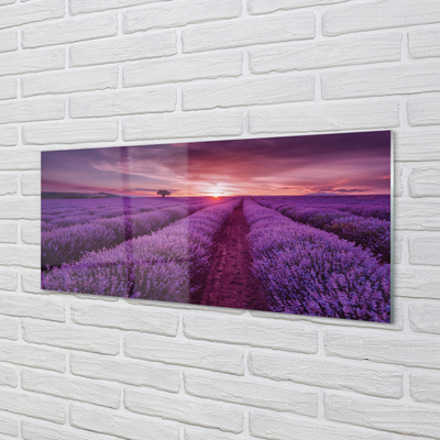 Painel de vidro Campo de urze