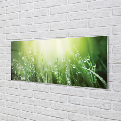 Painel de vidro Gotas, grama, sol