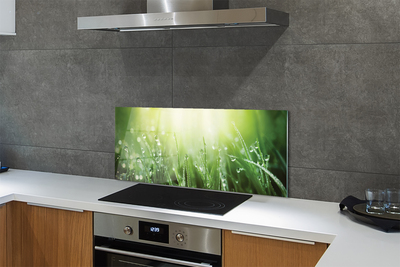 Painel de vidro Gotas, grama, sol