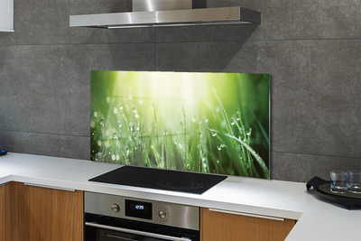 Painel de vidro Gotas, grama, sol