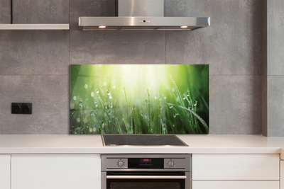 Painel de vidro Gotas, grama, sol