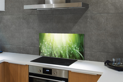 Painel de vidro Gotas, grama, sol