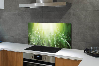 Painel de vidro Gotas, grama, sol