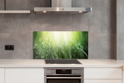 Painel de vidro Gotas, grama, sol