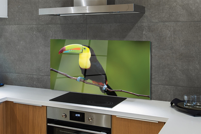 Painel de vidro Papagaio colorido em um galho