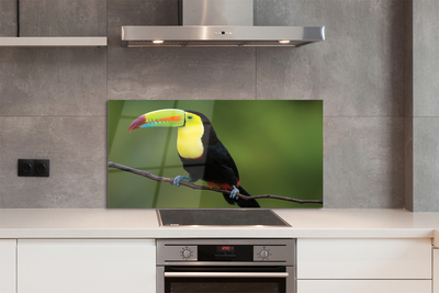 Painel de vidro Papagaio colorido em um galho