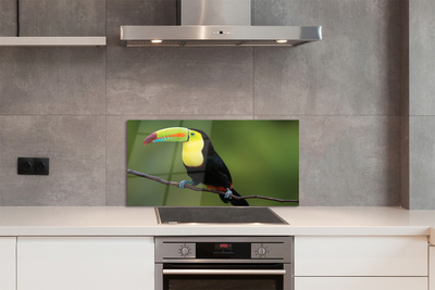 Painel de vidro Papagaio colorido em um galho