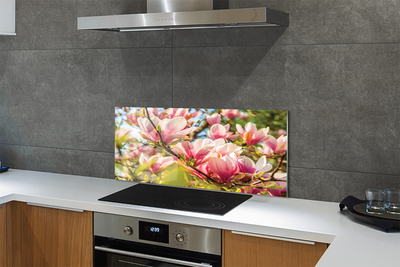 Painel de vidro magnólia rosa
