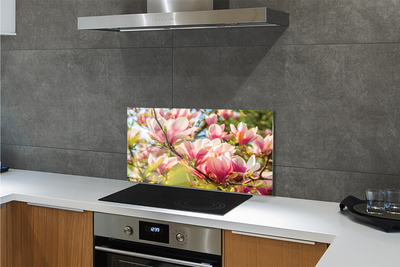 Painel de vidro magnólia rosa