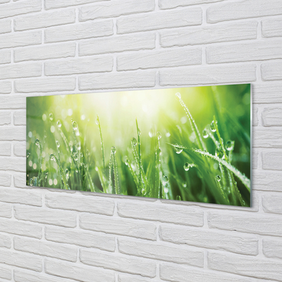 Painel de vidro Gotas, grama, sol