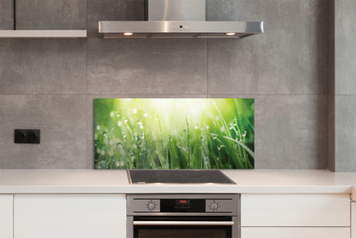 Painel de vidro Gotas, grama, sol