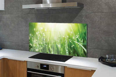 Painel de vidro Gotas, grama, sol