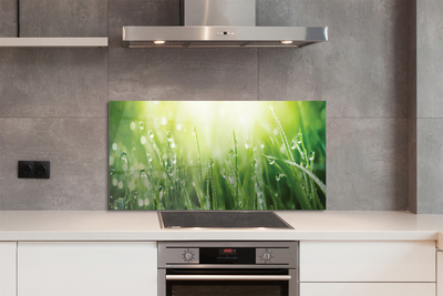 Painel de vidro Gotas, grama, sol