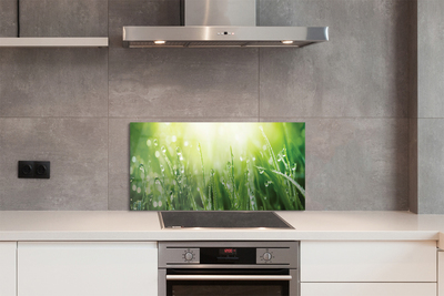 Painel de vidro Gotas, grama, sol