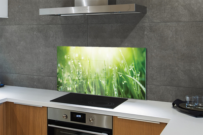 Painel de vidro Gotas, grama, sol