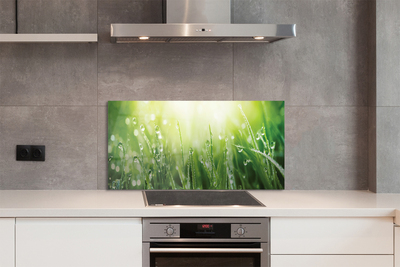 Painel de vidro Gotas, grama, sol