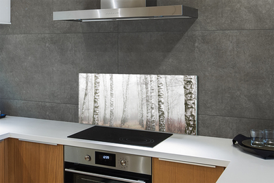 Painel de vidro Névoa de bétula