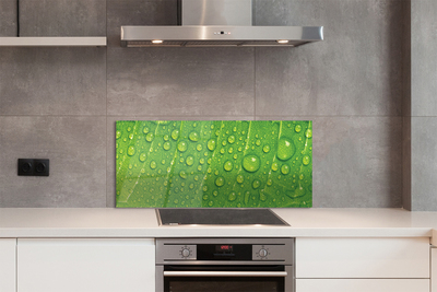 Painel de vidro Gotas em uma macro de folha