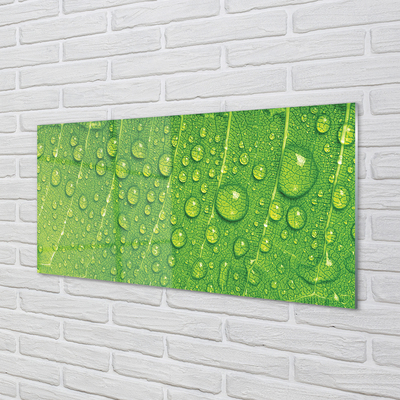 Painel de vidro Gotas em uma macro de folha