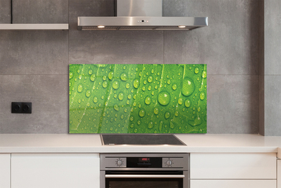 Painel de vidro Gotas em uma macro de folha