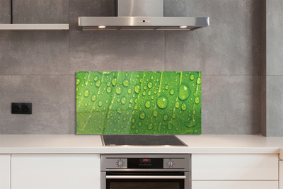 Painel de vidro Gotas em uma macro de folha