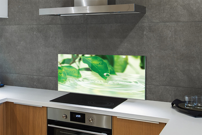 Painel de vidro Gotas de folhas de água