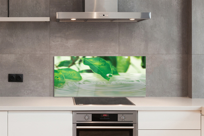 Painel de vidro Gotas de folhas de água