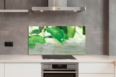 Painel de vidro Gotas de folhas de água