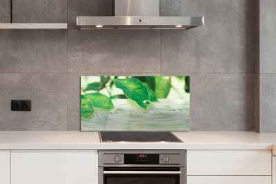 Painel de vidro Gotas de folhas de água