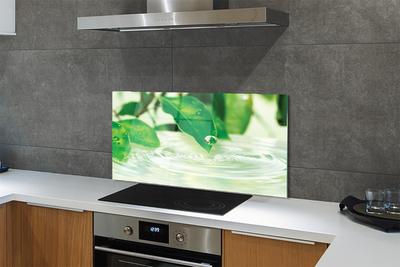 Painel de vidro Gotas de folhas de água