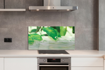 Painel de vidro Gotas de folhas de água