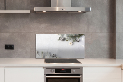 Painel de vidro Galhos de pinha