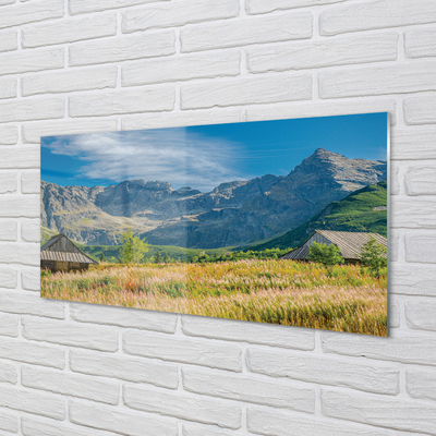Painel de vidro Montanhas, campos, casas