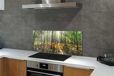 Painel de vidro Floresta de bétulas